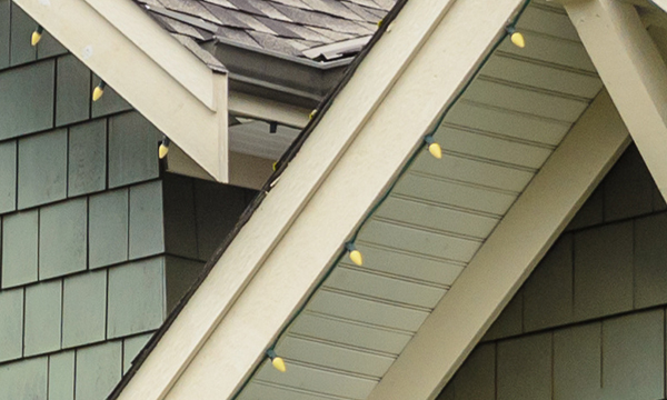 Residential roofline and home exterior.
